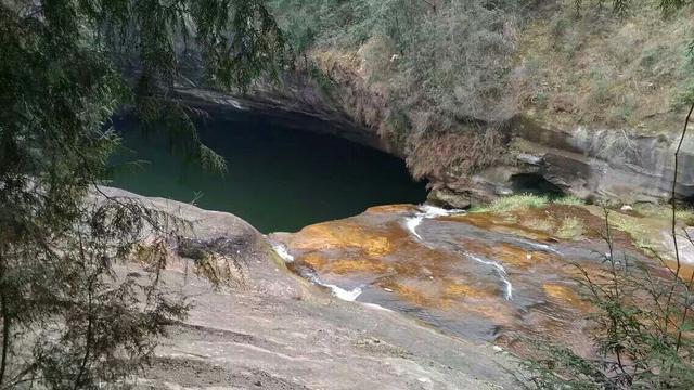 野生大熊猫误入水电站:你的家乡在四川哪里？有没有什么很有特色的地方？