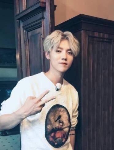 鹿晗私生子:关晓彤和鹿晗恋爱，为什么王思聪说过不了半年？