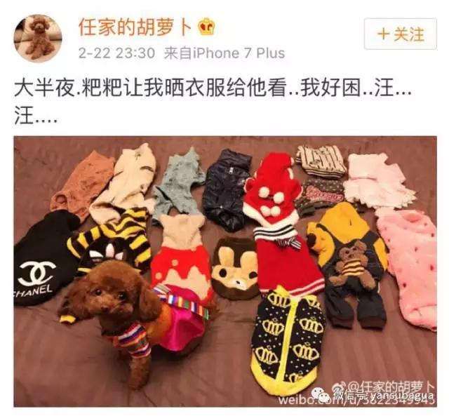 苏醒公开恋情:任嘉伦公布恋情，为什么大家开始脱粉了？