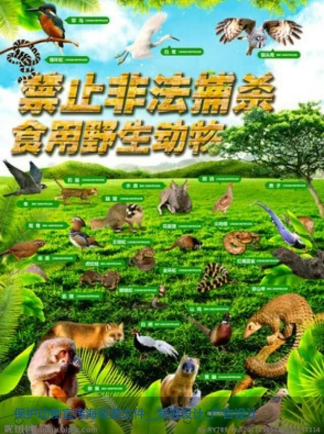 为自救打死国家保护动物犯不犯法