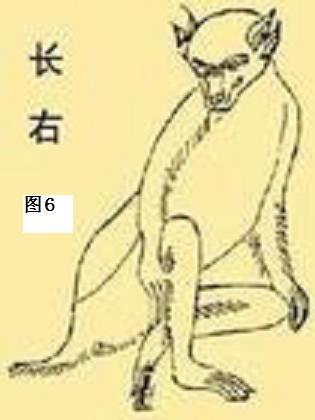 独眼鲨鱼:《山海经》中有没有可能真实存在的动物？