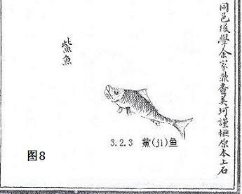 独眼鲨鱼:《山海经》中有没有可能真实存在的动物？