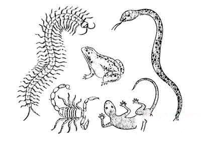 必会的3000个文学常识,什么是文学常识，文学常识包括哪些？