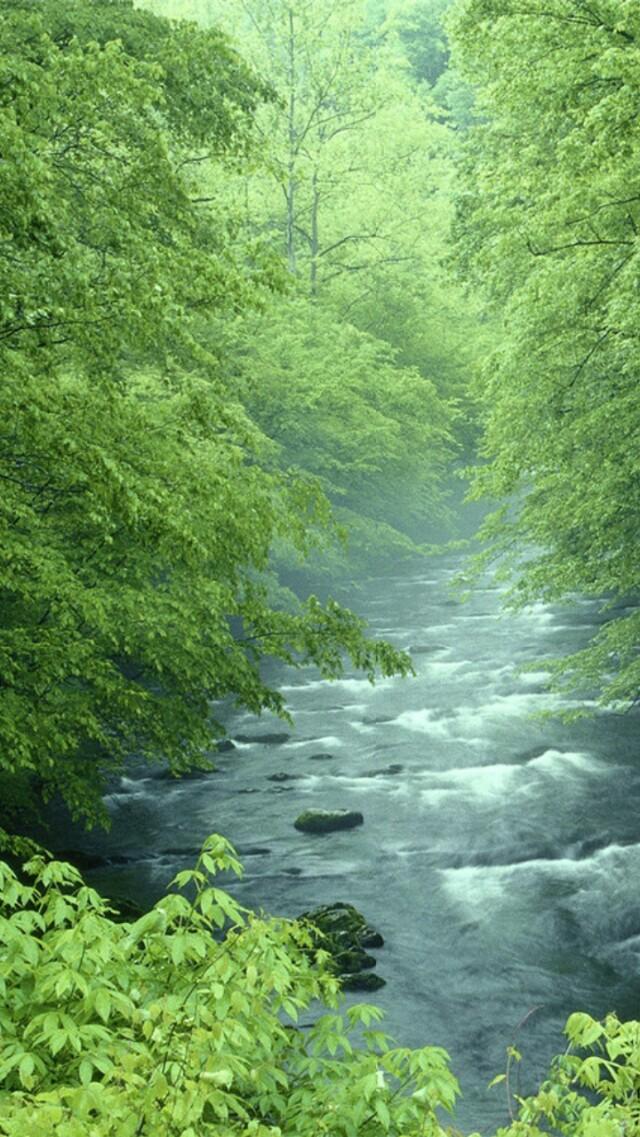 男人的格局是什么？