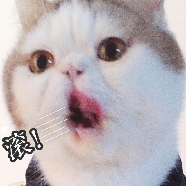 宋茜演过的电视剧:宋茜演技不咋为什么能接演那么多影视作品？