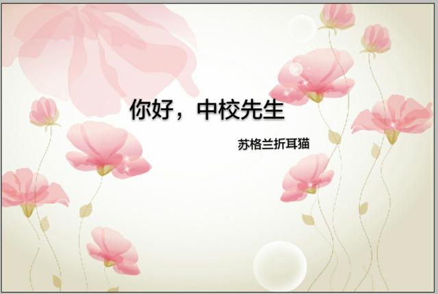 有没有好看的京片子高干文推荐呢？