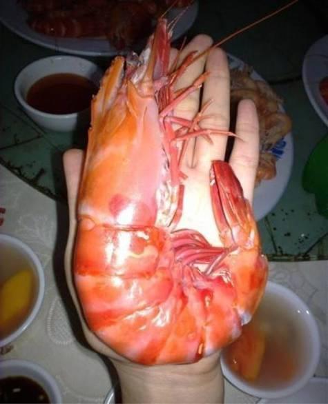 孤沙锥:上海长兴岛有哪些好玩的地方