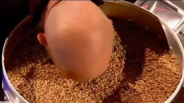 吉尼斯纪录大全:世界上有什么恶心人的吉尼斯世界纪录吗？