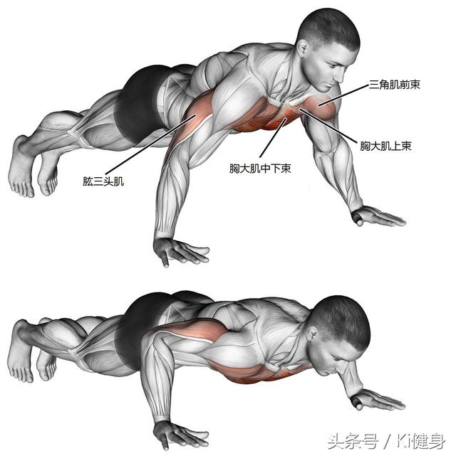头条问答 - 做俯卧撑有什么好处?(124个回答)