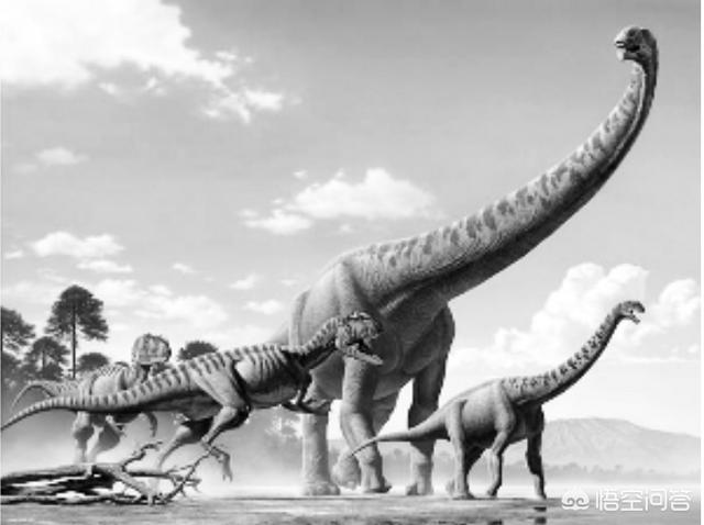 霸王龙和其他食肉恐龙，阿根延龙和霸王龙谁厉害？