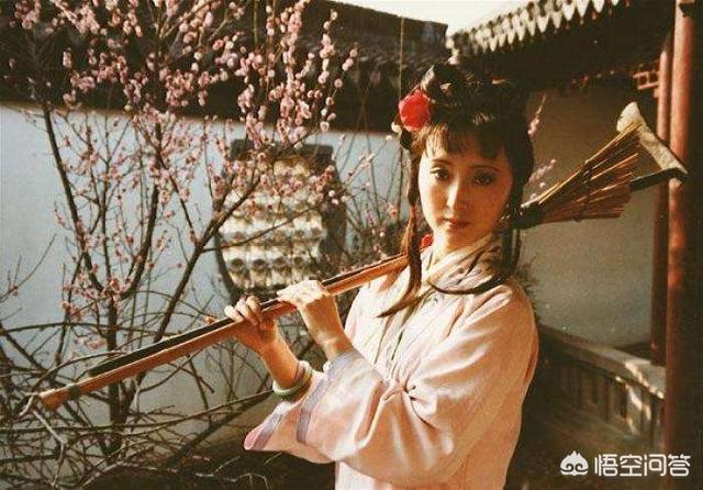 鸟自无言花自羞的谜底:《红楼梦》之《葬花吟》“鸟自无言