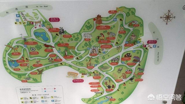 红山动物园:夏天适合去红山动物园吗？