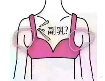 副乳和赘肉怎么区分，女生如何减去腋下和手臂的拜拜肉