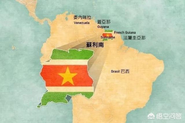 除了中国,有没有其他国家以汉语为官方语言？中文有没有可能成为普遍性国际语言？