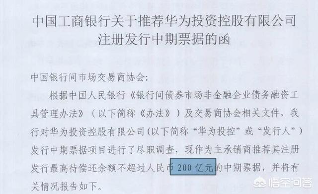 2500亿宠物经济崛起:广东省各个城市的经济发展怎么样？