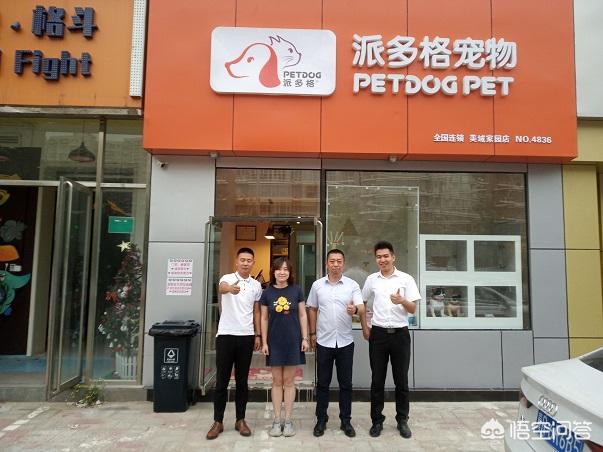 宠物商机:你如何看待俏然兴起的宠物旅游团？