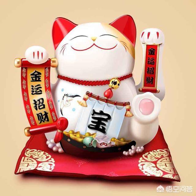 四川简州猫是招财猫吗:家里总是跑进来野猫，该怎么办？
