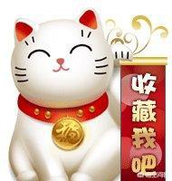 四川简州猫是招财猫吗:家里总是跑进来野猫，该怎么办？