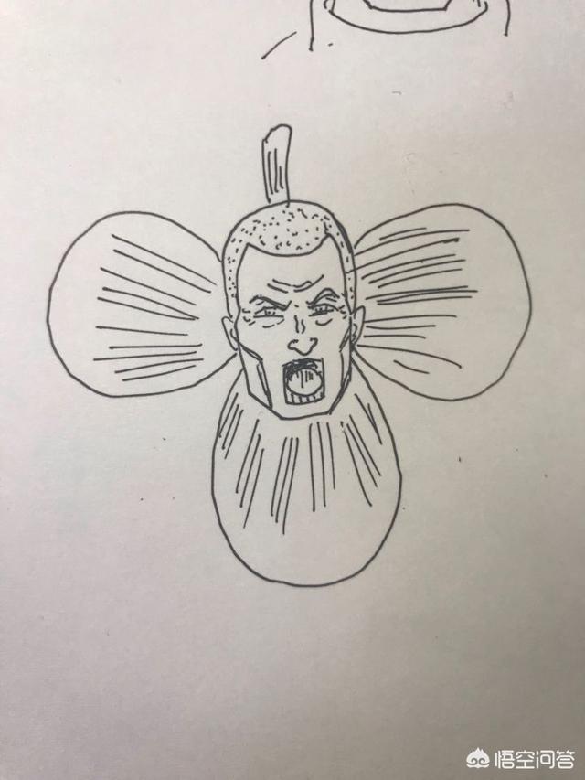 海贼王里面的红鼻子是什么动物:《海贼王》疫灾queen有什么能力？他和花之国有什么关系？