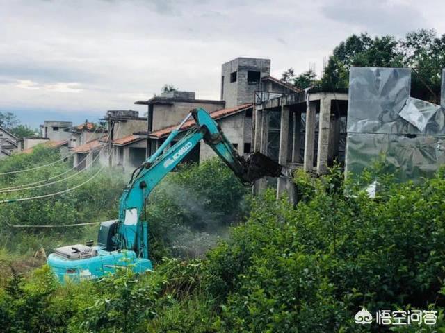 杨丽萍资料:金星的个人履历是怎样的，对此你怎么评价