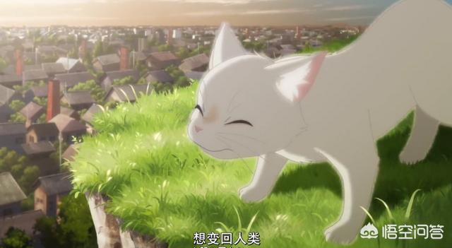 猫看见死亡的双眼剧情解释:《想哭泣的我戴上了猫面具》讲了一个怎样的故事？
