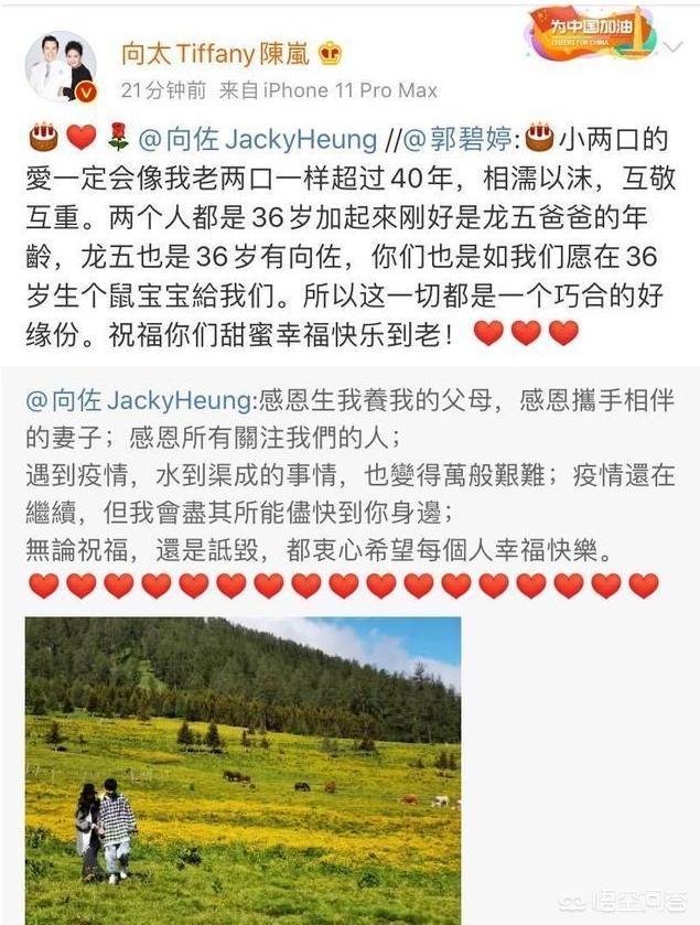 郭碧婷疑成功怀孕:为什么说向太过分干预了郭碧婷向佐夫妻的事？