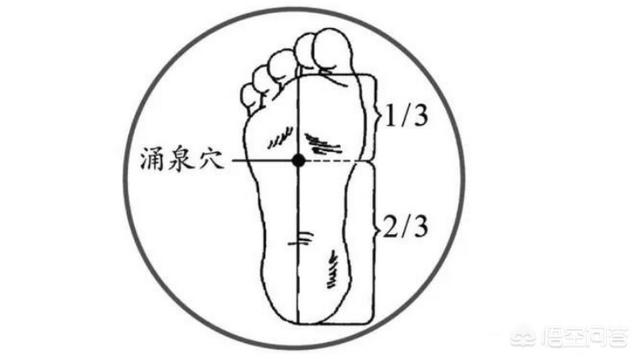 夏季肠道疾病预防:炎炎夏日来临如何避免便秘？