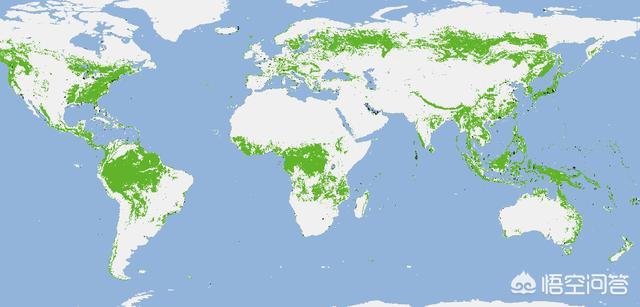 我国森林面积局世界第几位，我国森林覆盖率远低于日本，为什么别人说我国做的更出色