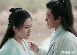 杨不悔和张无忌青梅竹马，为何会爱上殷梨亭，而不选择张无忌？