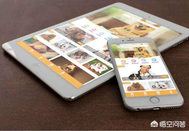 宠物说app功能:宠物类APP主要有哪些功能？ 宠物交易app