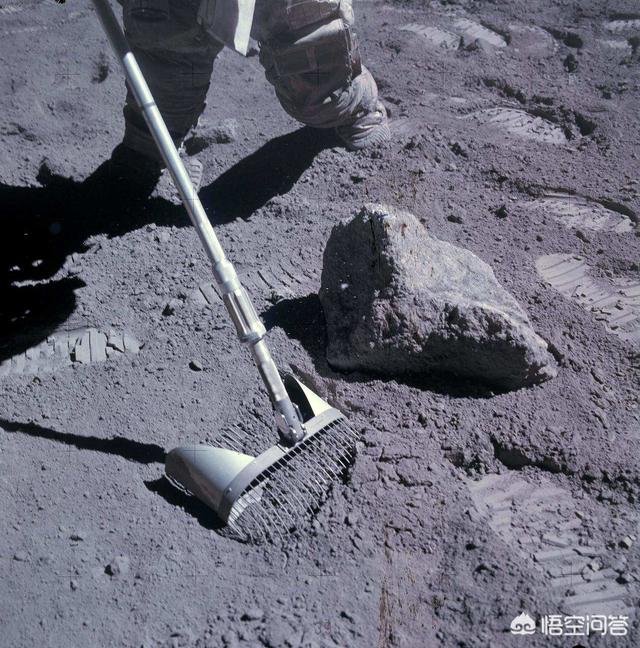 宠物的秘密生活2关于谁:有没有一部动画片，看过一次，再也不敢看第二次的？ 宠物的秘密生活2