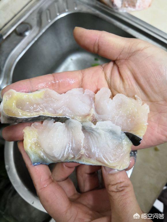 观赏鱼鲶鱼种类:鲶鱼科观赏鱼种类 鲶鱼有什么好的养殖技术吗？