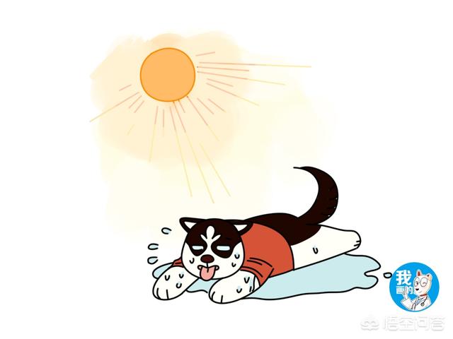 斗牛犬躲冰箱避暑视频:酷夏，你们是怎么帮自己家的宠物避暑的？ 斗牛犬睡觉盖被子视频