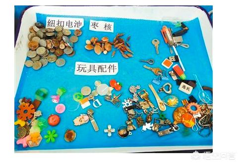 小鱼吃吃吃:孩子把一只活的小鱼喝肚子里了，该怎么办？