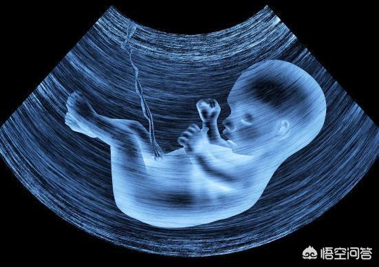 孕晚期胎儿照片图片