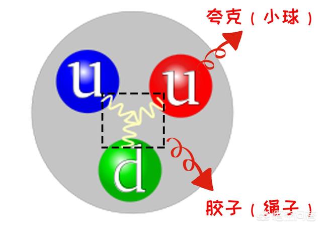 鹿角虫寿命是多少:原子、质子、中子、电子等微观粒子有寿命吗？