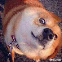 天王嫂训练营:昆凌和方媛身上有哪些共同点，才会让她们成为天王嫂