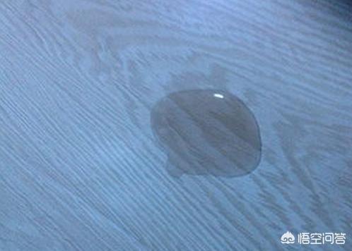 色狗狗:狗狗不同的尿液颜色都提示着什么疾病？ 白色狗狗