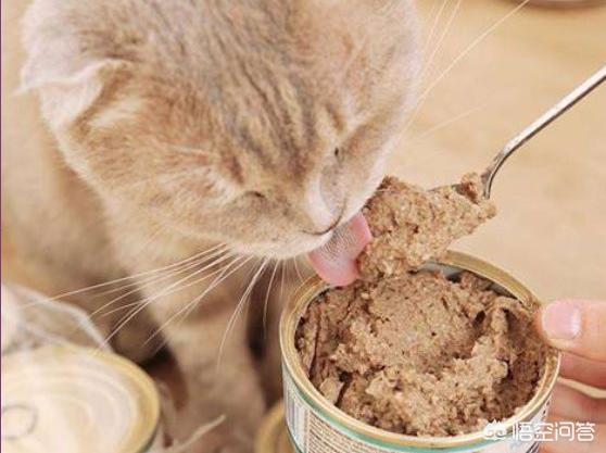 猫罐头vitakraft:猫罐头里有卡拉胶，对猫咪有害吗？ 猫罐头狗能吃吗