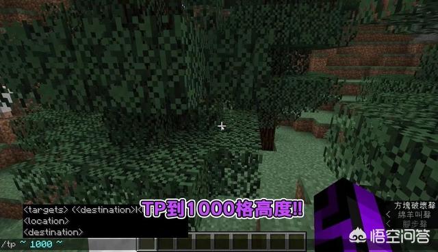 头条问答 我的世界minecraft中 到底可以飞多高呢 能不能飞出这个世界 7个回答