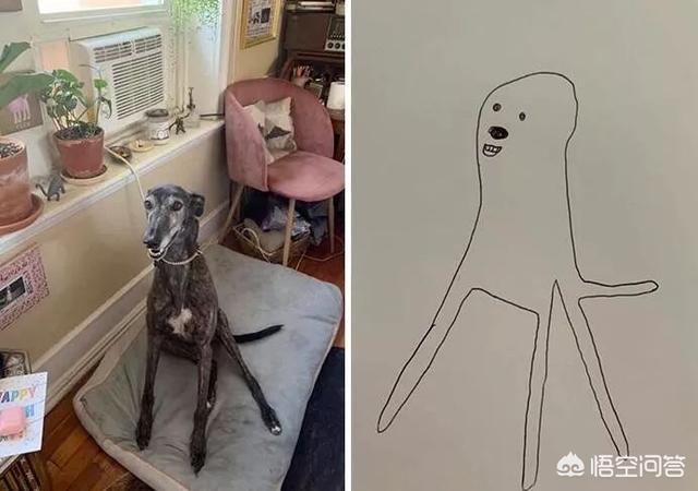 宠物新闻搞笑:今年夏天特别热，你们家的的宠物是怎么度夏的呢？有什么趣事？