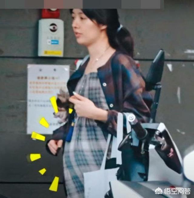 6月17日郭碧婷腹部隆起似皮球被猜测怀孕，为什么明星生子这么多人关注？