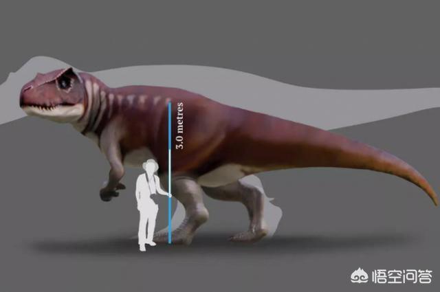 新西兰发现一只活恐龙，发现最早的恐龙是什么恐龙