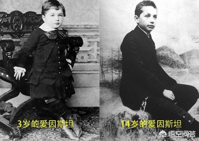 史纳莎很聪明吗:《红楼梦》中最聪明的人是谁？ 史纳莎的颜色