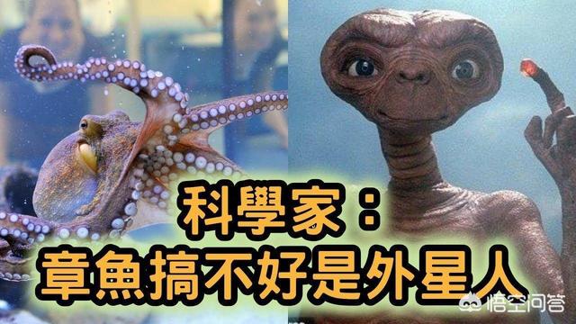 6岁女童被藏獒咬断脖子气管身亡:为什么动物被砍头，身体还能挣扎，而人被砍头身体就不会动了？ 三岁小孩被藏獒咬断气管