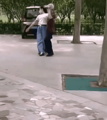 狗狗视频大全搞笑:有哪些有意思的狗子小视频？