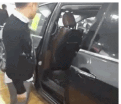 狗狗视频大全搞笑:有哪些有意思的狗子小视频？