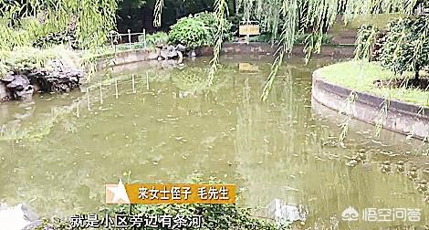 金沙港湾灵异事件图片:杭州一女子睡觉时离奇失踪，多个监控查无踪迹，怎么回事？