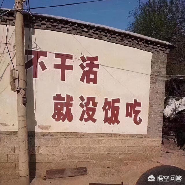 打工人是什么梗:关晓彤玩打工人梗翻车一事，你怎么看？