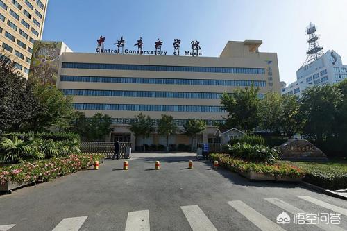 好声音邢晗铭夺冠:《好声音》八位总冠军为什么没有一位是从主流音乐院校毕业的？